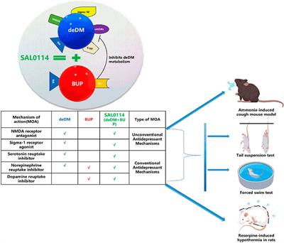 SAL0114: a novel deuterated dextromethorphan-bupropion combination with improved antidepressant efficacy and safety profile